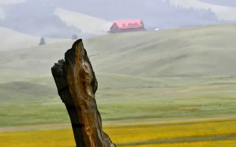 Rolling Country