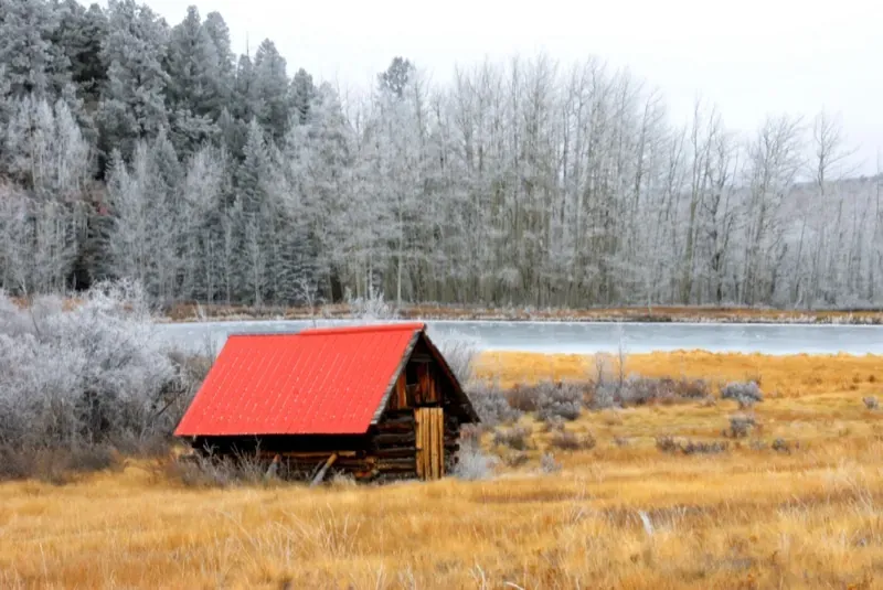 First Frost