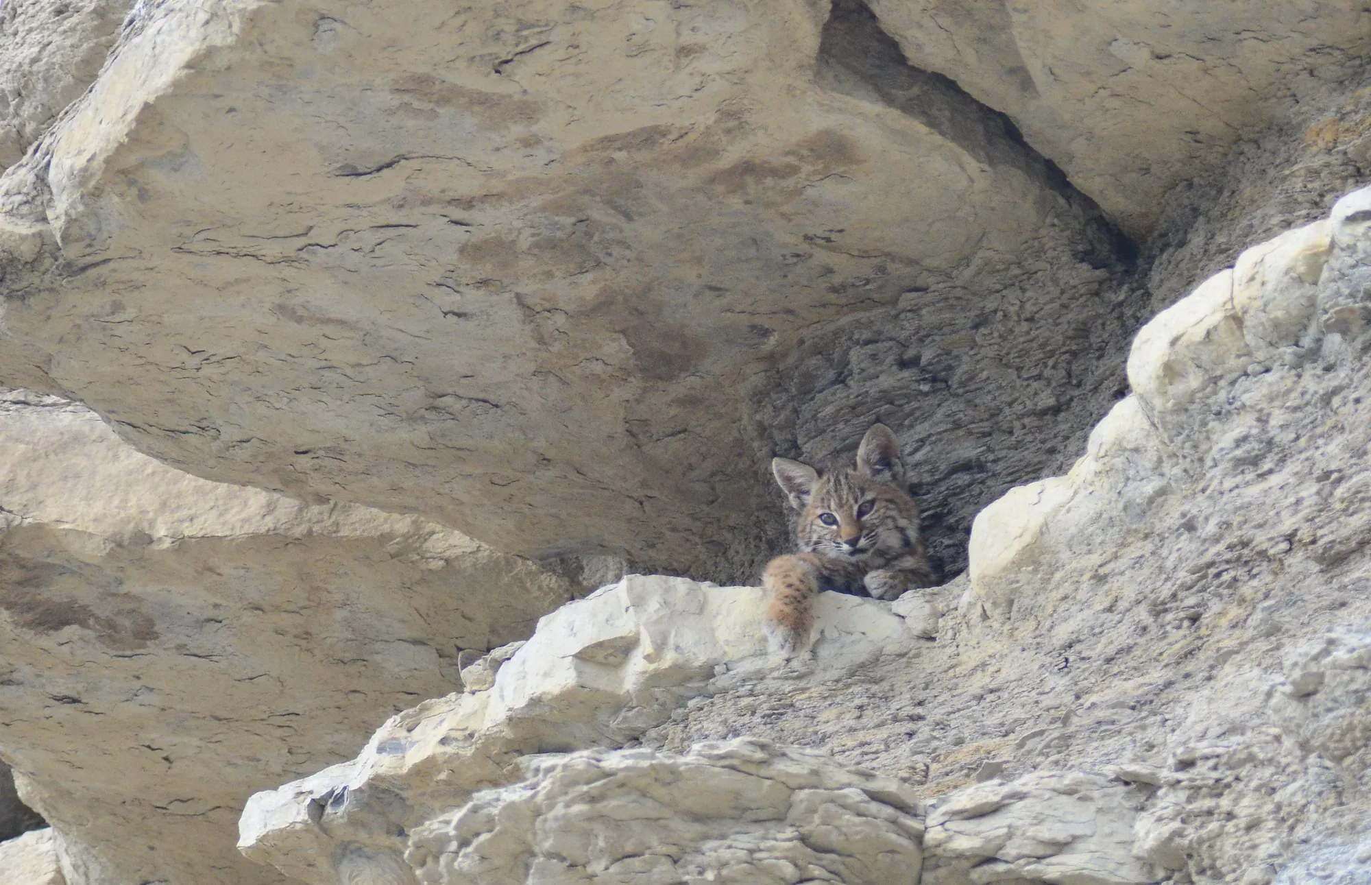 At the Rock Den