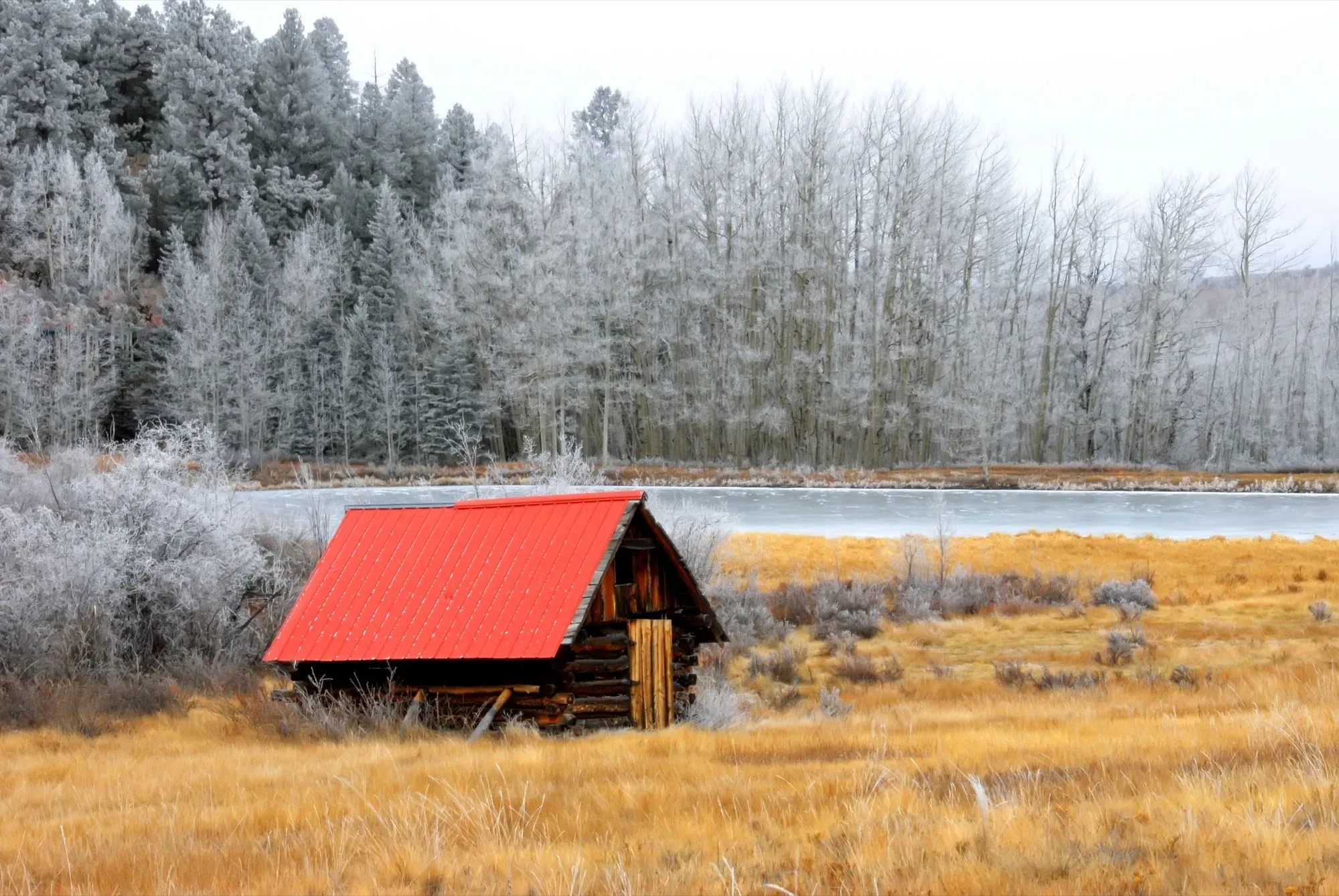 First Frost