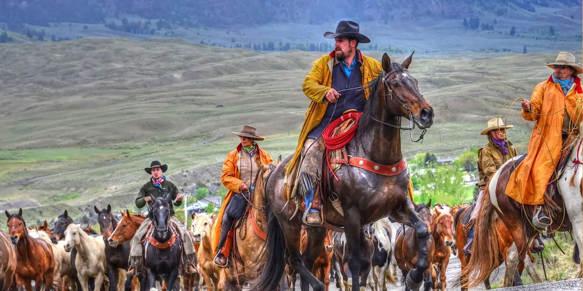 Horses & The West gallery cover