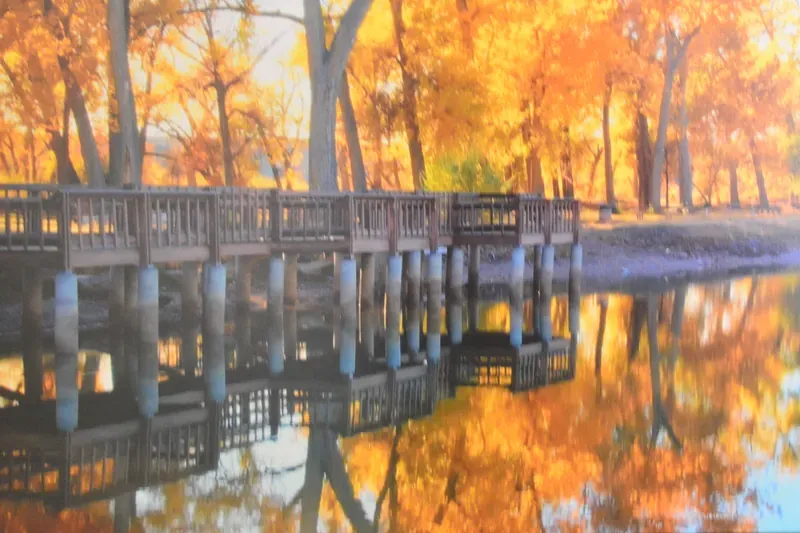 Boardwalk Reflections